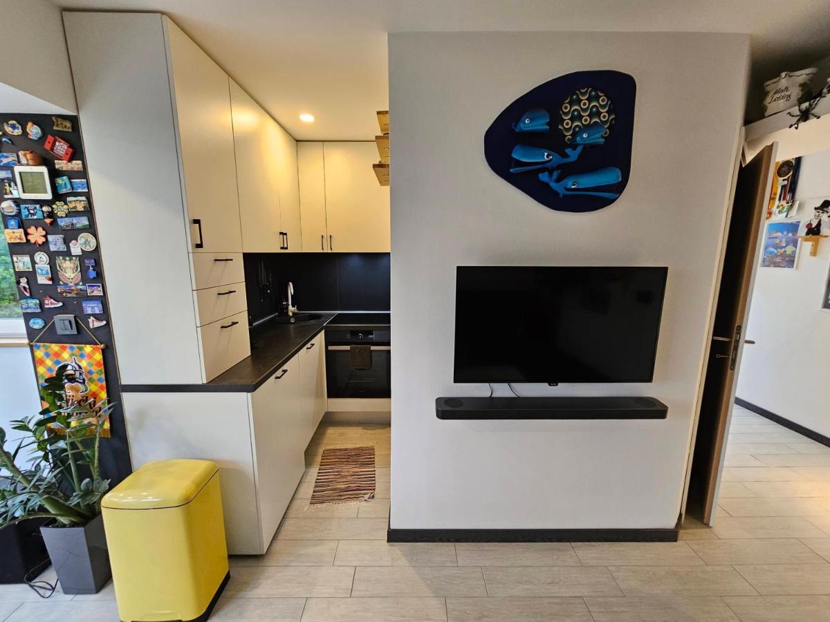 Apartman Carnevalus Rijeka Buitenkant foto