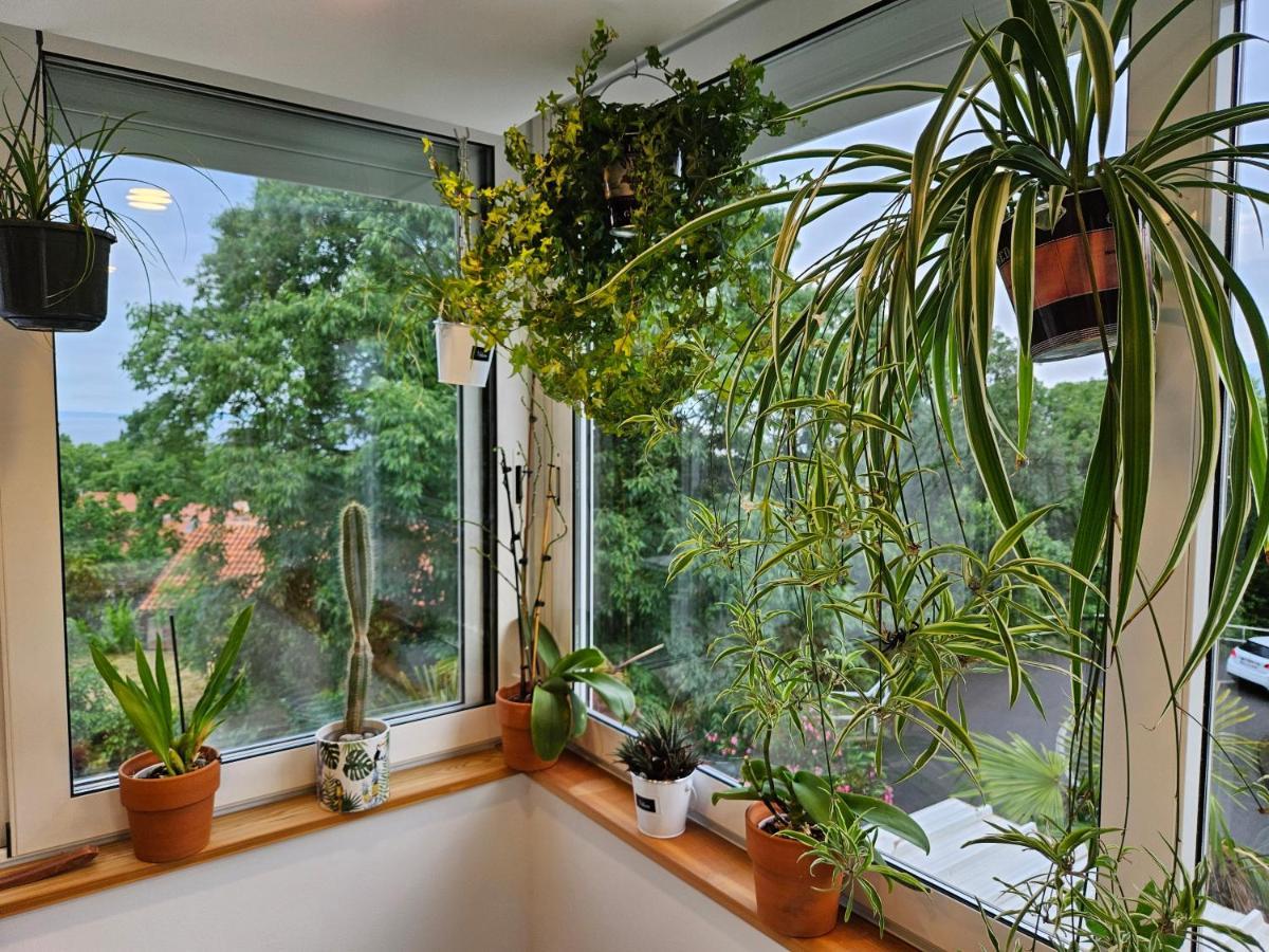 Apartman Carnevalus Rijeka Buitenkant foto