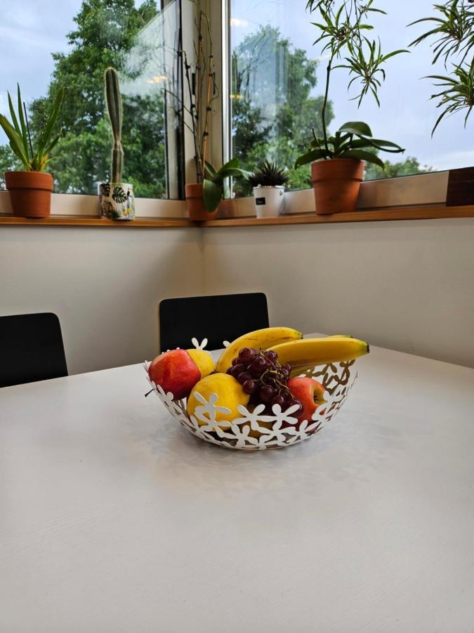 Apartman Carnevalus Rijeka Buitenkant foto