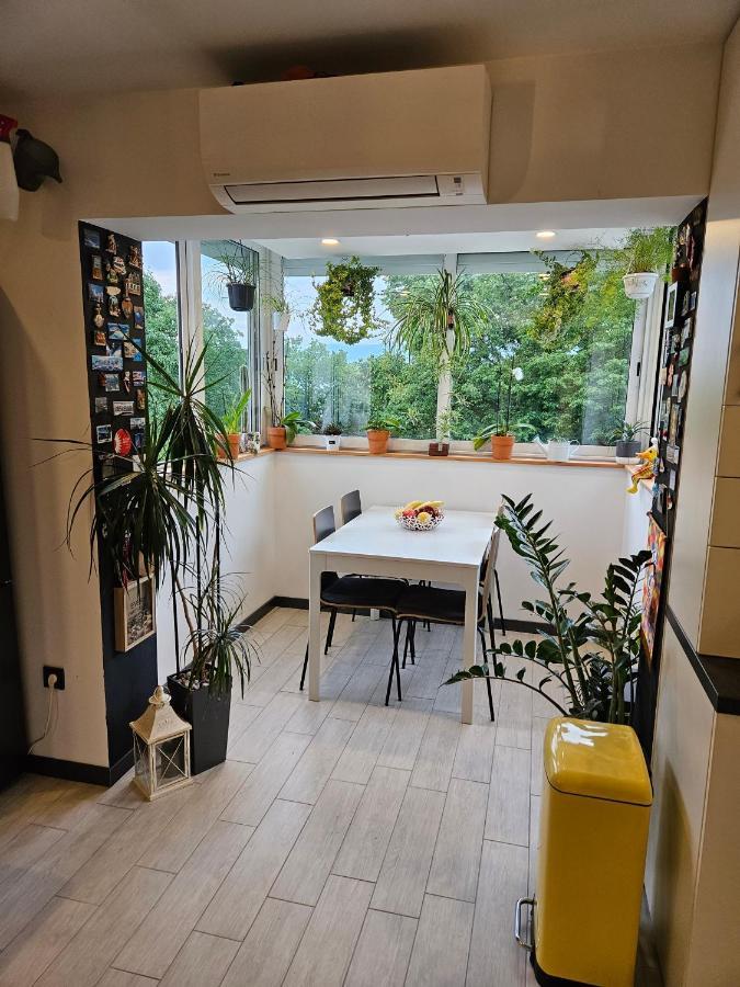 Apartman Carnevalus Rijeka Buitenkant foto